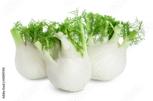 fresh fennel bulb isolated on white background with clipping path and full depth of field