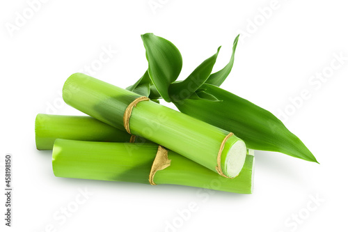 Green bamboo with leaves isolated on white background with clipping path and full depth of field © kolesnikovserg