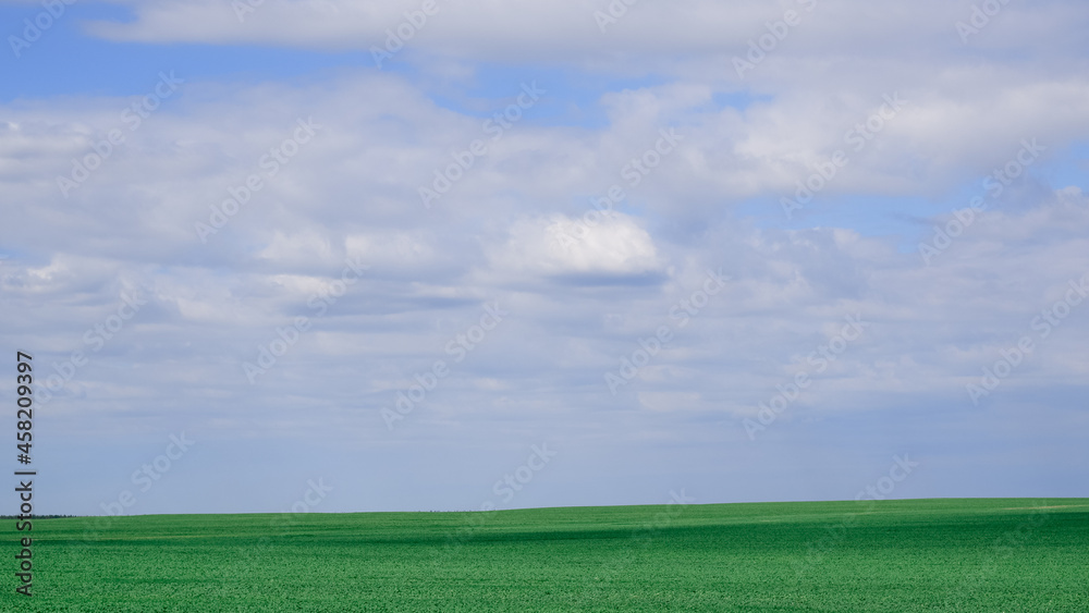 Landscape. Background. Bright green field and blue sky with clouds. Agricultural land, blue sky with clouds.
