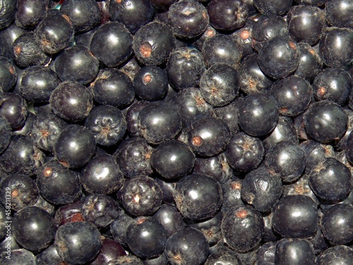 The fruits of black mountain ash. Background of dark berries. Fresh ripe berries.