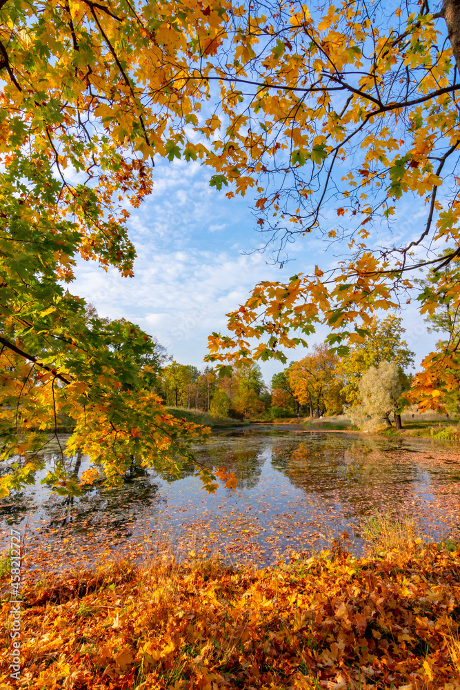 Pond in Alexander park in autumn, Pushkin (Tsarskoe Selo), Saint Petersburg, Russia Pond in Alexander park in autumn, Pushkin (Tsarskoe Selo), Saint Petersburg, Russia