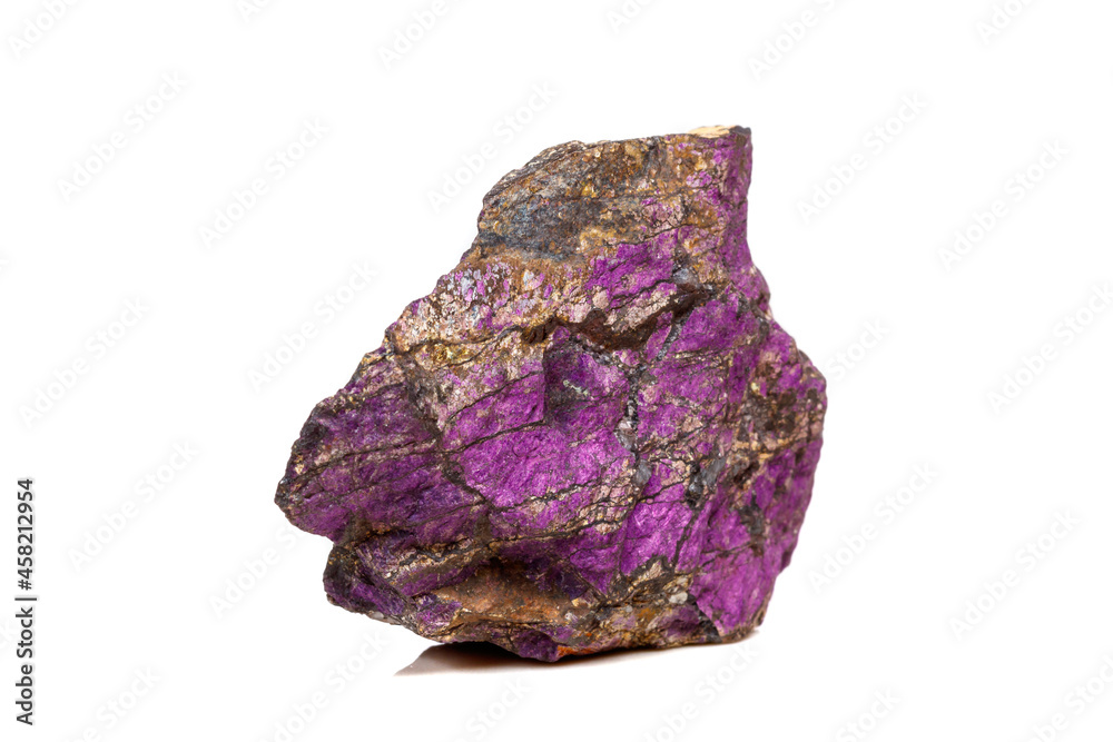 Macro mineral stone purpureus, (purple) purpurite in the breed a white background
