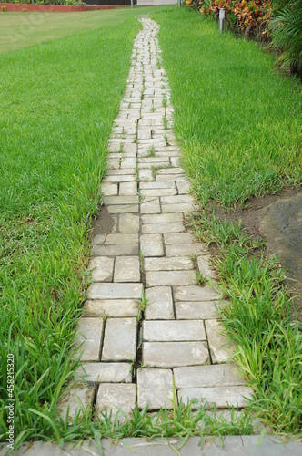 path in green