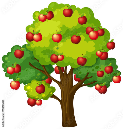 Apple tree isolated on white background