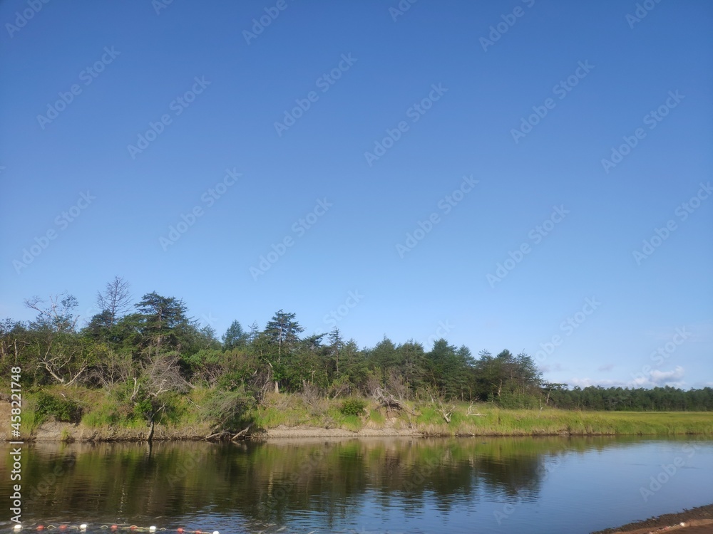 lake in the forest lake in the forest