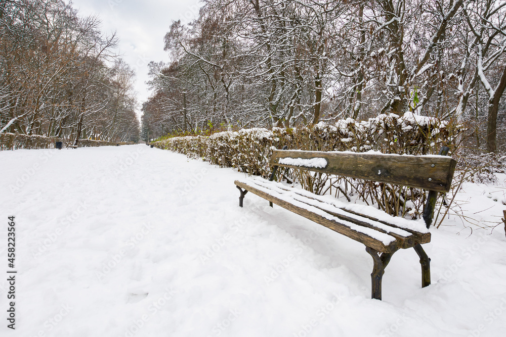 wooden bench in snow. moody winter scenery with leafless trees in the city park