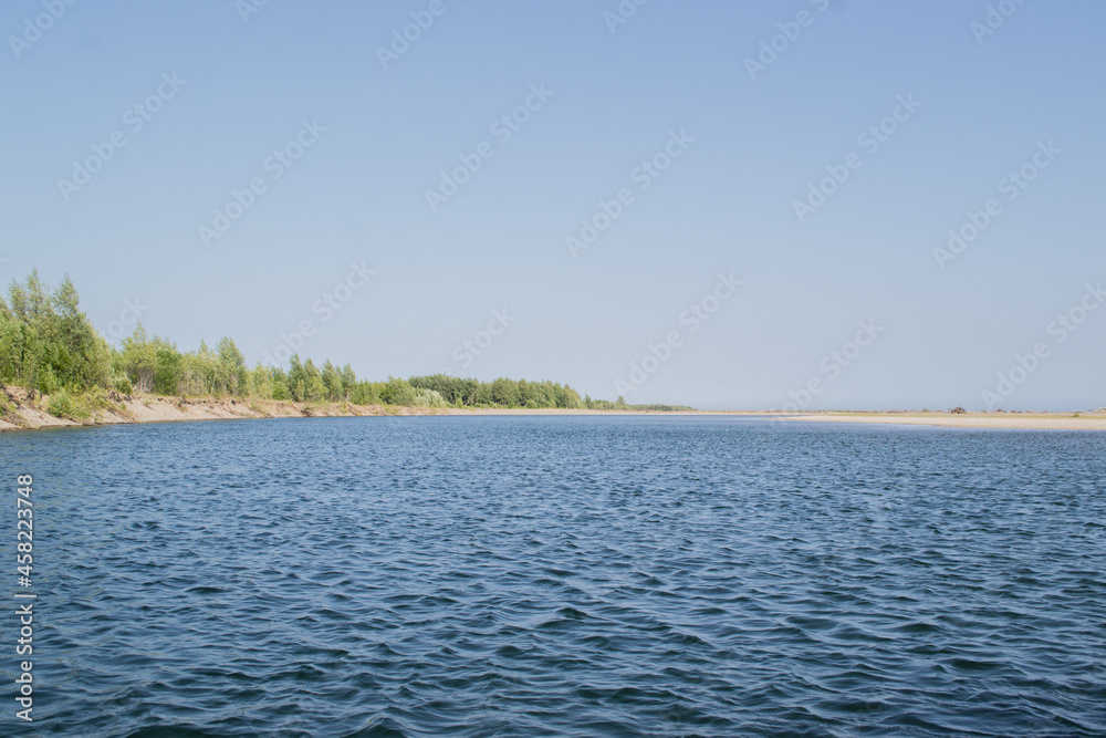 beach and trees