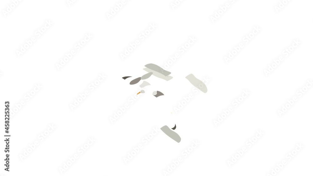 Seagull icon animation isometric best object on white backgound Seagull icon animation isometric best object on white backgound