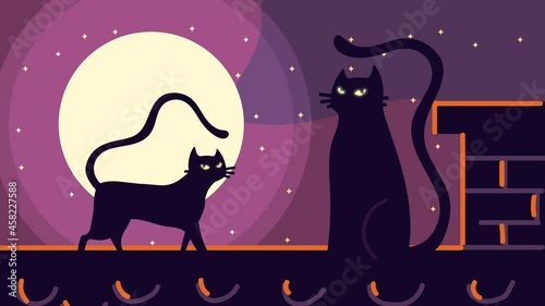 happy halloween animation with black cats in wall