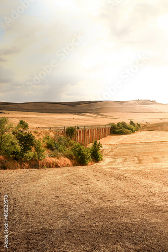South Italy in summer. Apulian landscape near Spinazzola, Alta Murgia
