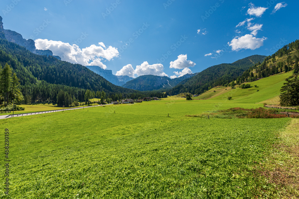 Obraz premium Green meadows and pine woodland in Braies or Prags Valley (Val di Braies), Prags municipality, Fanes-Senes-Braies nature park, Dolomites, South Tyrol, Trentino-Alto Adige, Bolzano province, Italy.
