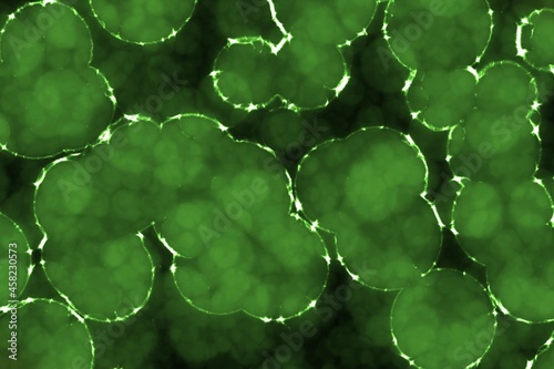 Obraz na plátně artistic cute many organic living cells computer art backdrop illustration