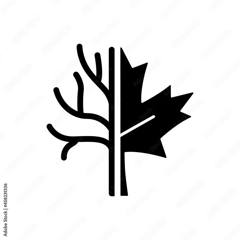 Maple tree black glyph icon. Official canadian arboreal emblem. Species of trees and bushes growing in Canada. Maple leaflet symbol. Silhouette symbol on white space. Vector isolated illustration Maple tree black glyph icon. Official canadian arboreal emblem. Species of trees and bushes growing in Canada. Maple leaflet symbol. Silhouette symbol on white space. Vector isolated illustration