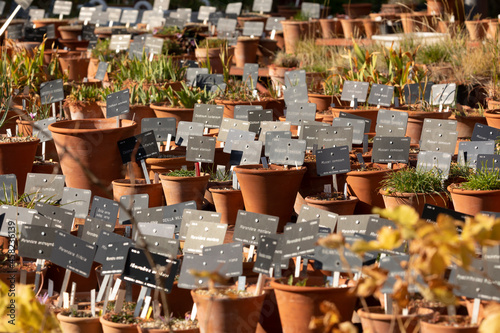 Piles of orange colored clay pots in a nursery of a botanical garden, in autumn, Madrid