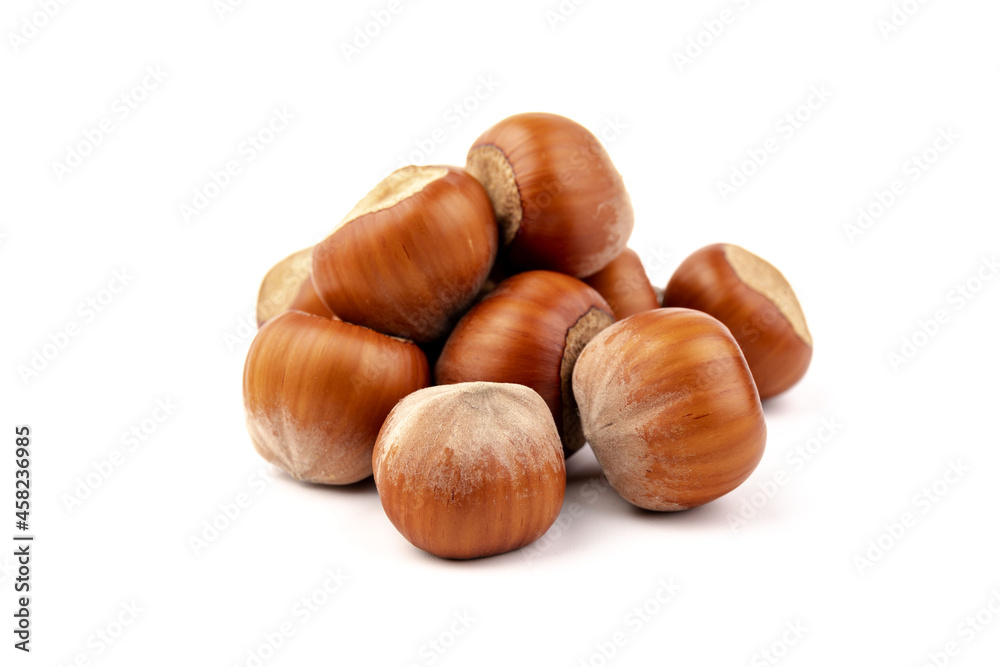 Group of hazelnuts, isolated on white background Group of hazelnuts, isolated on white background