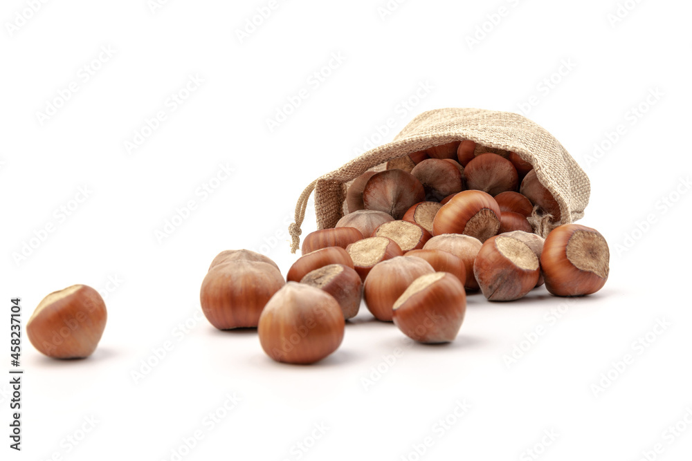 fresh hazelnuts in a canvas bag on white background