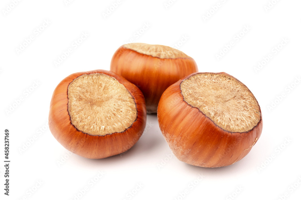 Group of hazelnuts, isolated on white background Group of hazelnuts, isolated on white background