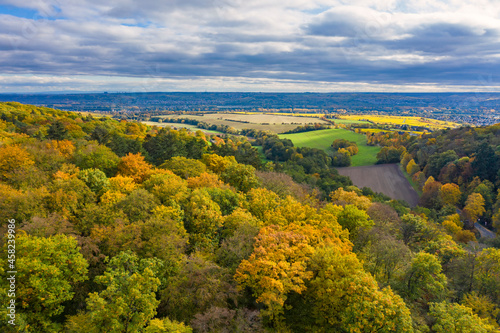 Bird s-eye view of the wonderfully autumnal deciduous forest near Kiedrich   Germany in the Rheingau with a heavily cloudy sky