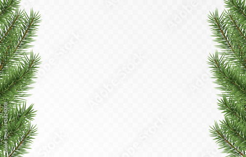 Vector fir branches. Spruce branches png, pine, spruce. Christmas decorations, Christmas background.