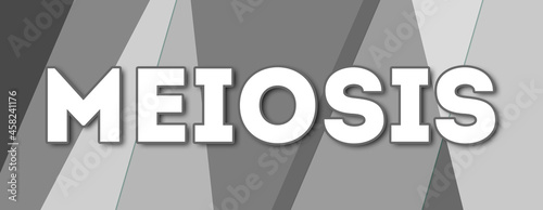 Meiosis - text written on gray background