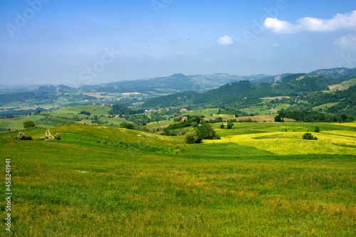 Vineyards at May in Piedmont, near Brignano and Serra del Monte