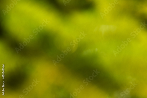 Abstraction of a green background, soft green ecological color of greens
