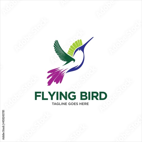 Hummingbird Colibri Bird Logo Design Vector Image