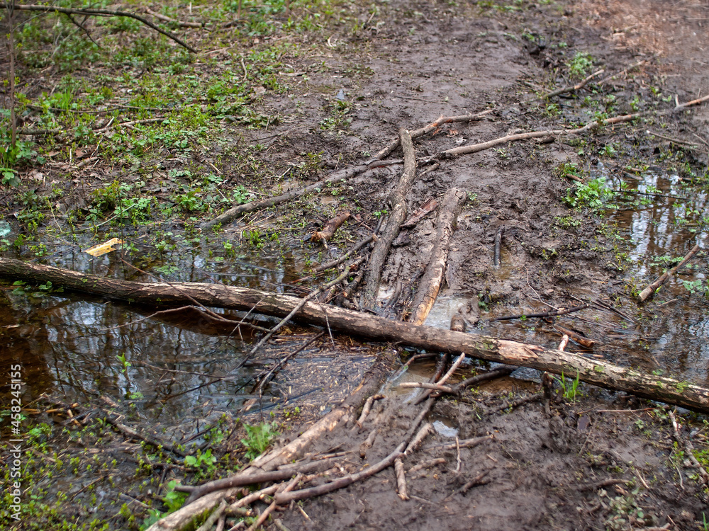 Dirty dirt road through the park in the spring Dirty dirt road through the park in the spring