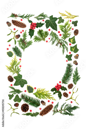 Nature study background border of European winter greenery  holly  red berries on white. Eco friendly composition for Solstice Christmas and New Year holiday season. Top view flat lay copy space.