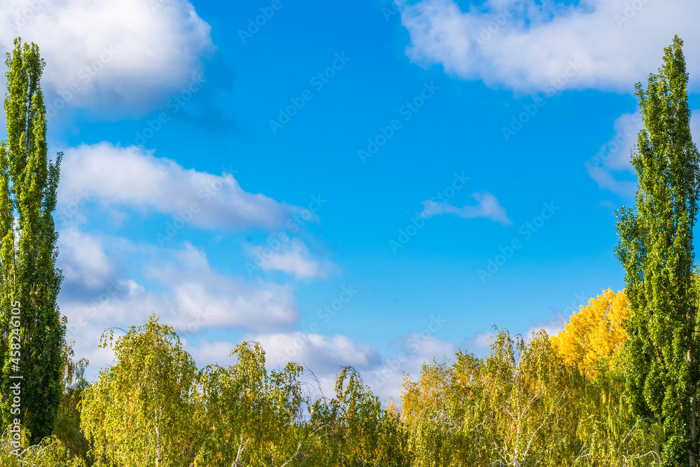Blue autumn blue cloudy sky, framed from below by crowns of birches and on the sides by pyramidal poplars. Quiet sunny day. Blue autumn blue cloudy sky, framed from below by crowns of birches and on the sides by pyramidal poplars. Quiet sunny day.
