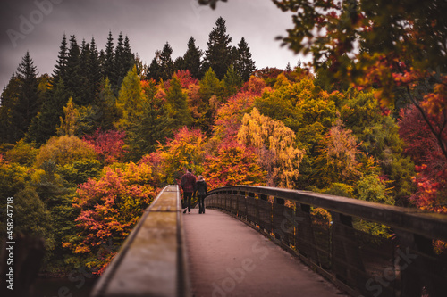 Cuadro en lienzo Autumn over the bridge in Glencoe