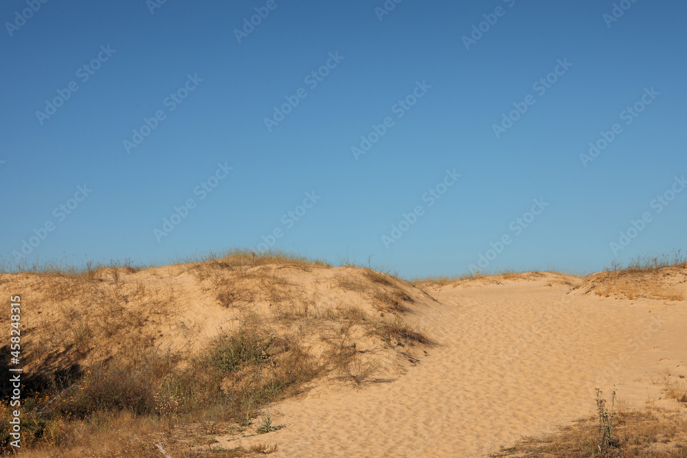 Picturesque view of desert on sunny day