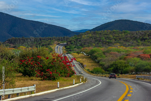 Panamericana photo