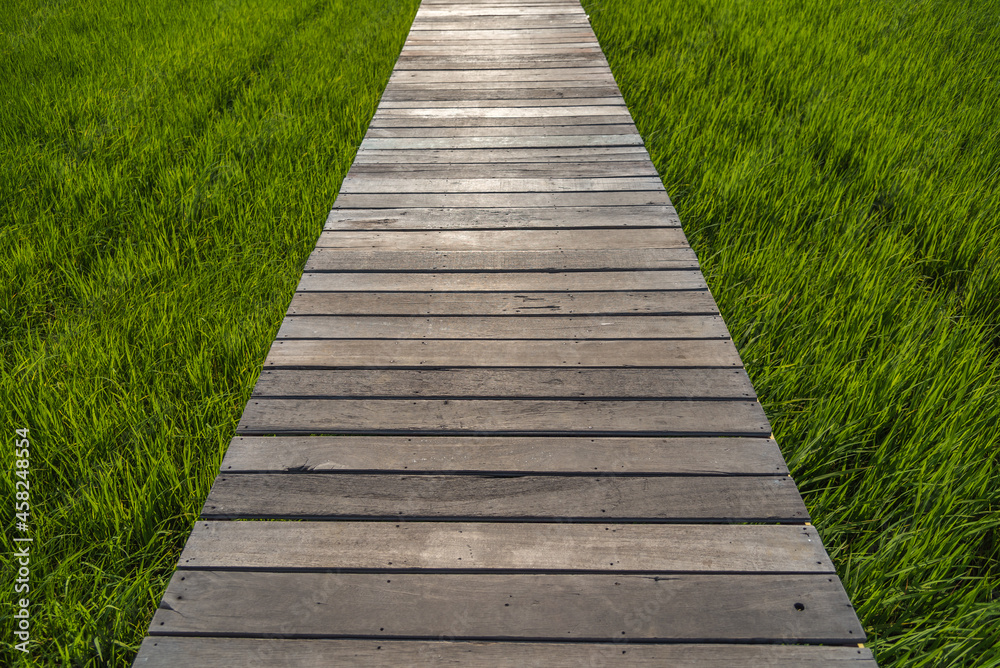 Wooden bridge at paddy field Wooden bridge at paddy field