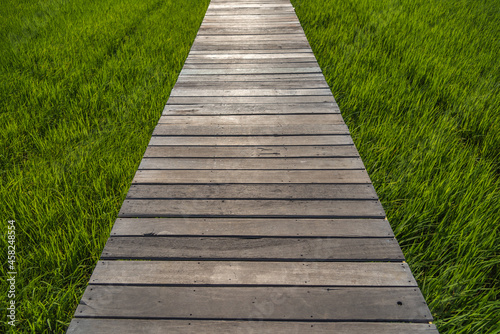 Wooden bridge at paddy field