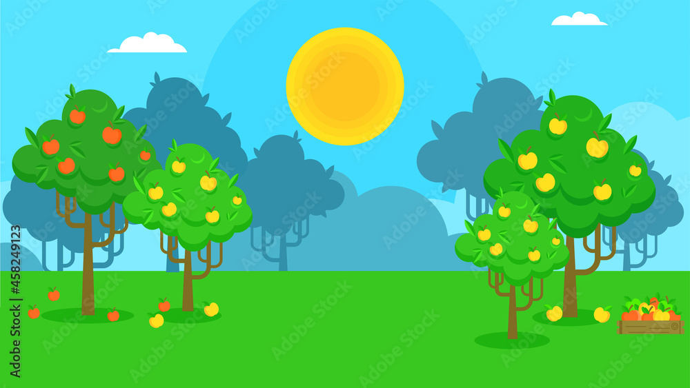 Vector country landscape with fruit trees. Apple orchard. Vector country landscape with fruit trees. Apple orchard.