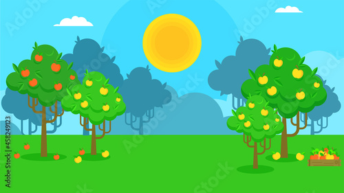 Vector country landscape with fruit trees. Apple orchard.