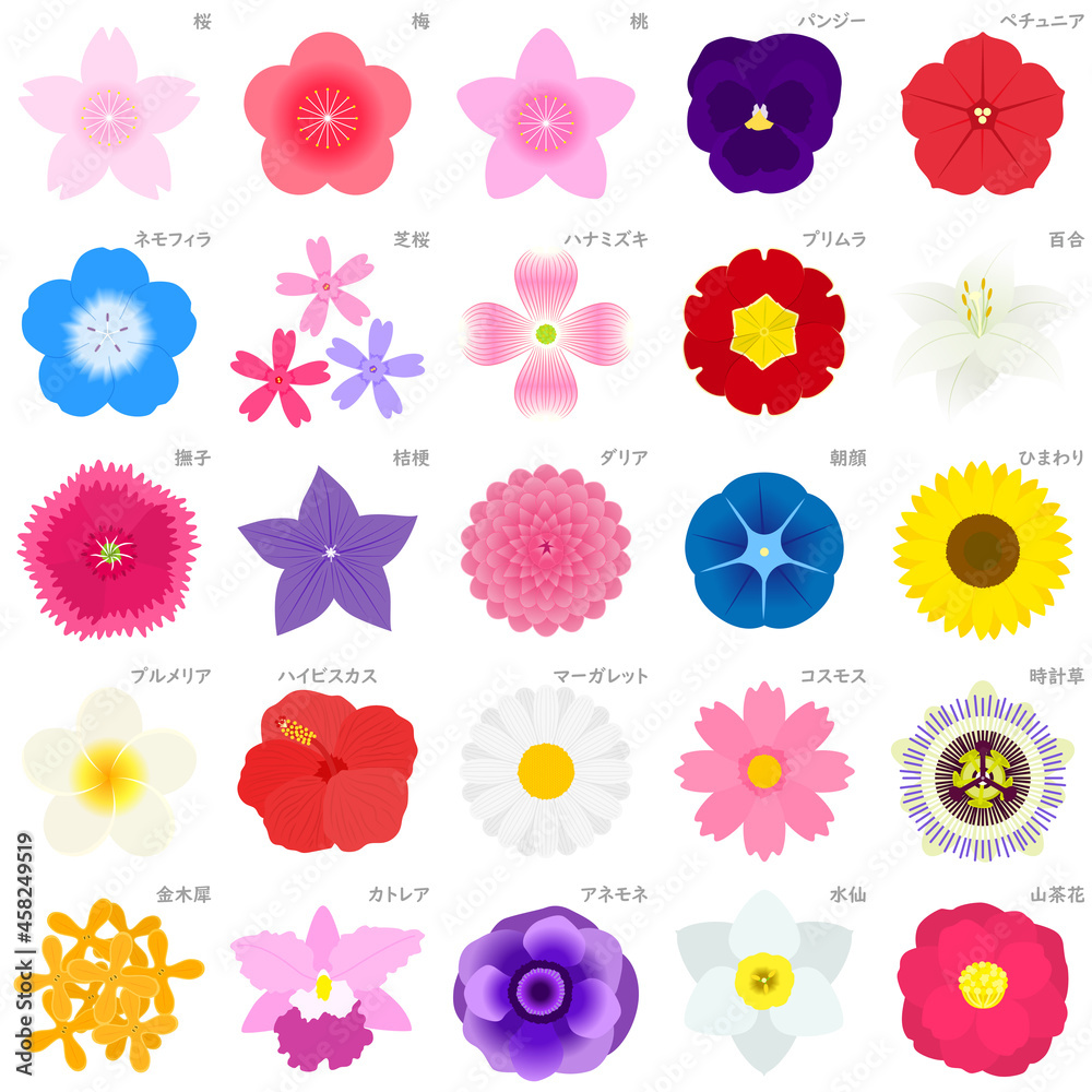 花のイラストセット