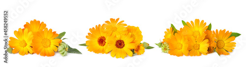 Set with beautiful calendula flowers on white background. Banner design