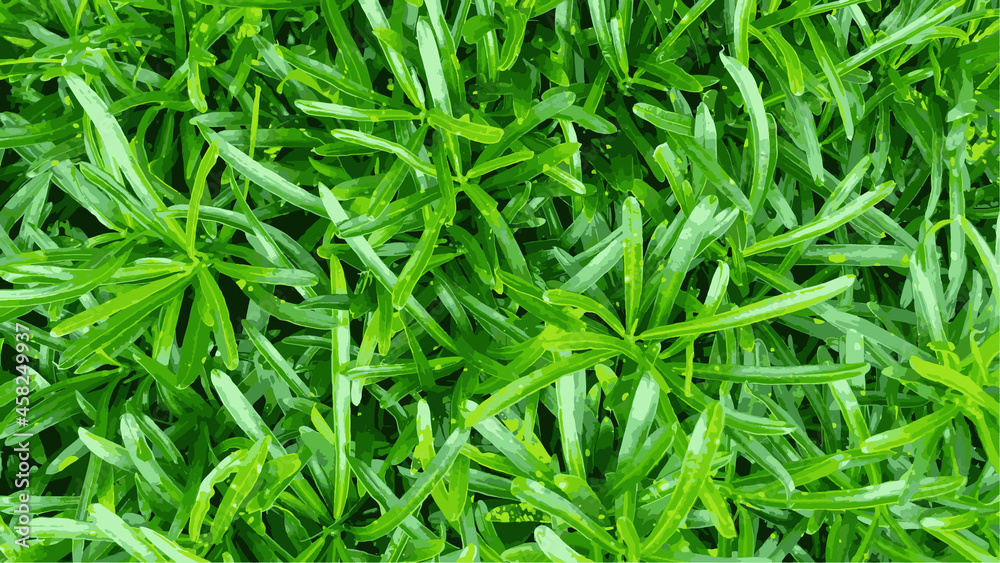 Abstract green grass background. Abstract green grass background.