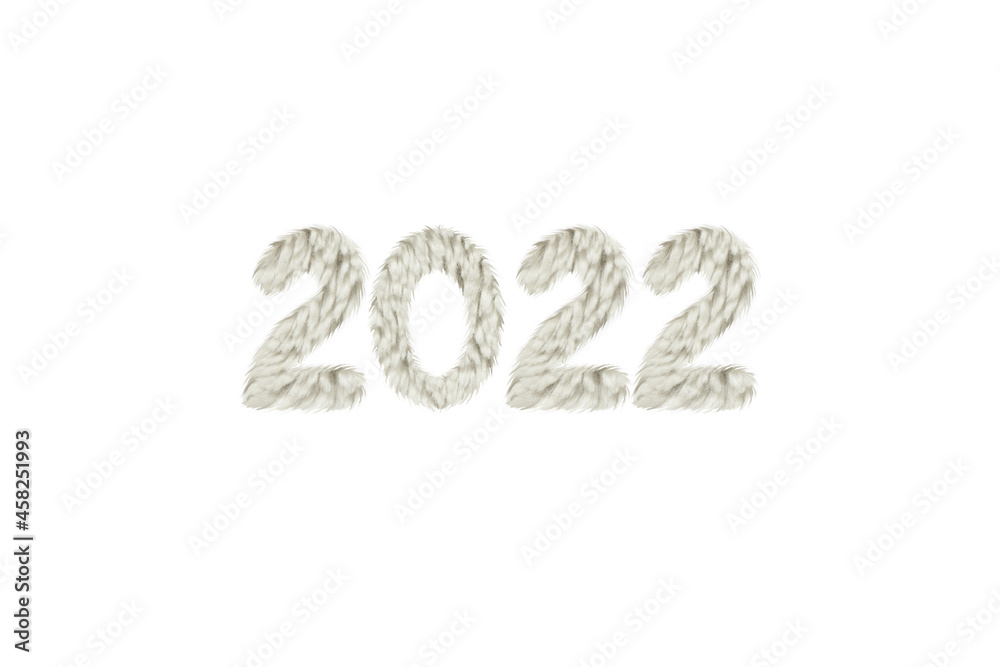 Year 2022 from fur numerals on white background. New year design lettering. Graphic element Year 2022 from fur numerals on white background. New year design lettering. Graphic element