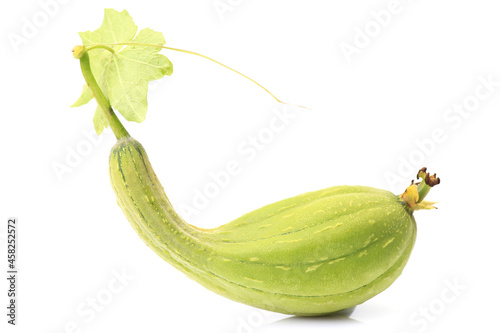 Obraz na płótnie Fresh luffa on white background