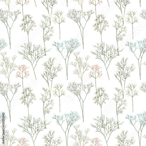 Seamless pattern of Gypsophila branches  illustration on white background