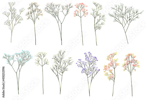 Set of hand drawn Gypsophila branches, isolated illustration on white background photo