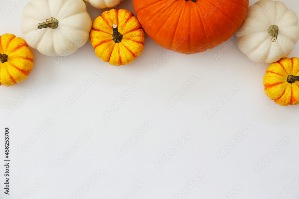 Bunch of classic orange, hooligan and baby boo pumpkins on bright background as a symbol of autumnal holidays with a lot of copy space for text. Close up.