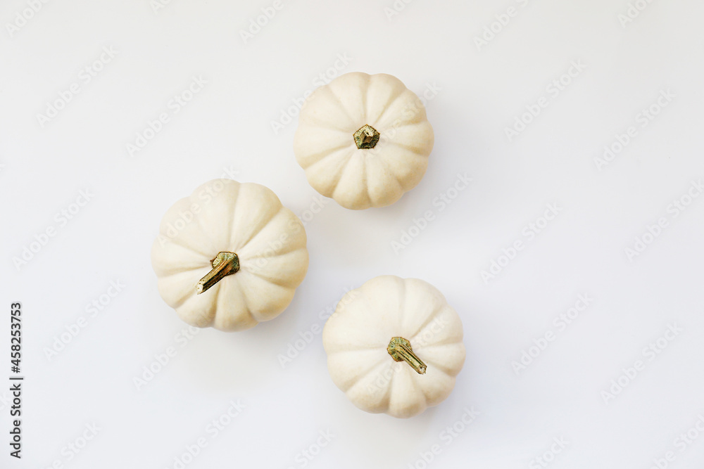 Obraz premium Close up shot of three baby boo pumpkins isolated on bright background as a symbol of autumnal holidays with a lot of copy space for text