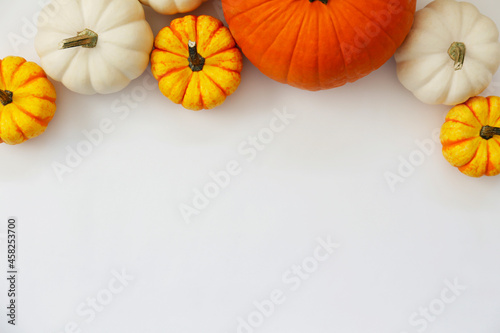 Bunch of classic orange  hooligan and baby boo pumpkins on bright background as a symbol of autumnal holidays with a lot of copy space for text. Close up.