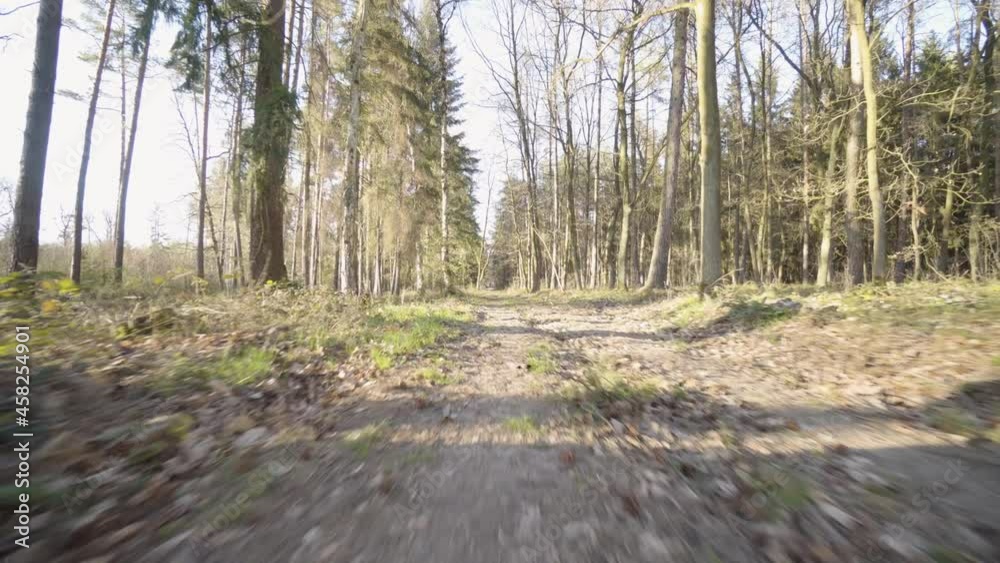 The camera flies fast through a forest with a pathway on a sunny spring day - looks ahead The camera flies fast through a forest with a pathway on a sunny spring day - looks ahead
