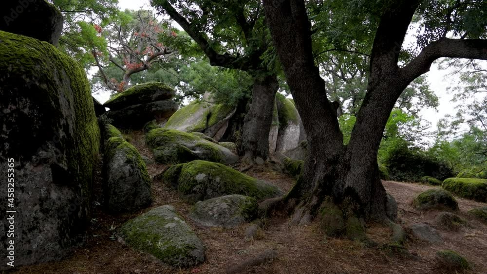 Rock labyrinth in Beglik Tash prehistoric rock sanctuary situated on the southern Black Sea coast of Bulgaria, 4k Rock labyrinth in Beglik Tash prehistoric rock sanctuary situated on the southern Black Sea coast of Bulgaria, 4k
