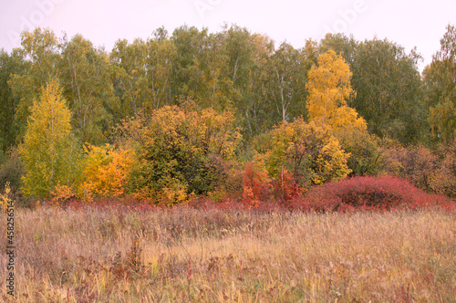 Beautiful autumn landscape with. Colorful foliage in the forest